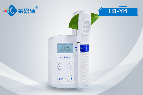 葉綠素檢測(cè)儀的實(shí)用意義：及時(shí)掌握綠素、葉面溫度等數(shù)據(jù)